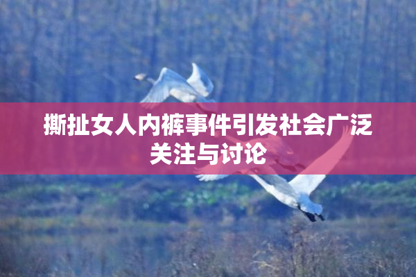 撕扯女人内裤事件引发社会广泛关注与讨论