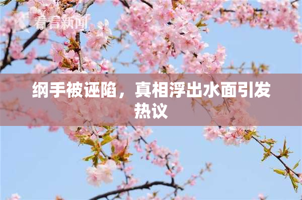 纲手被诬陷，真相浮出水面引发热议