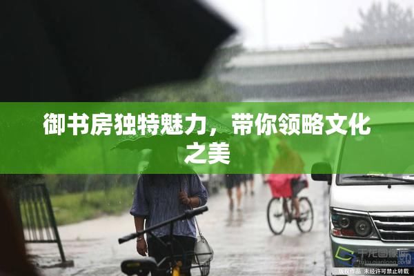 御书房独特魅力，带你领略文化之美