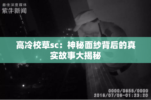 高冷校草sc：神秘面纱背后的真实故事大揭秘