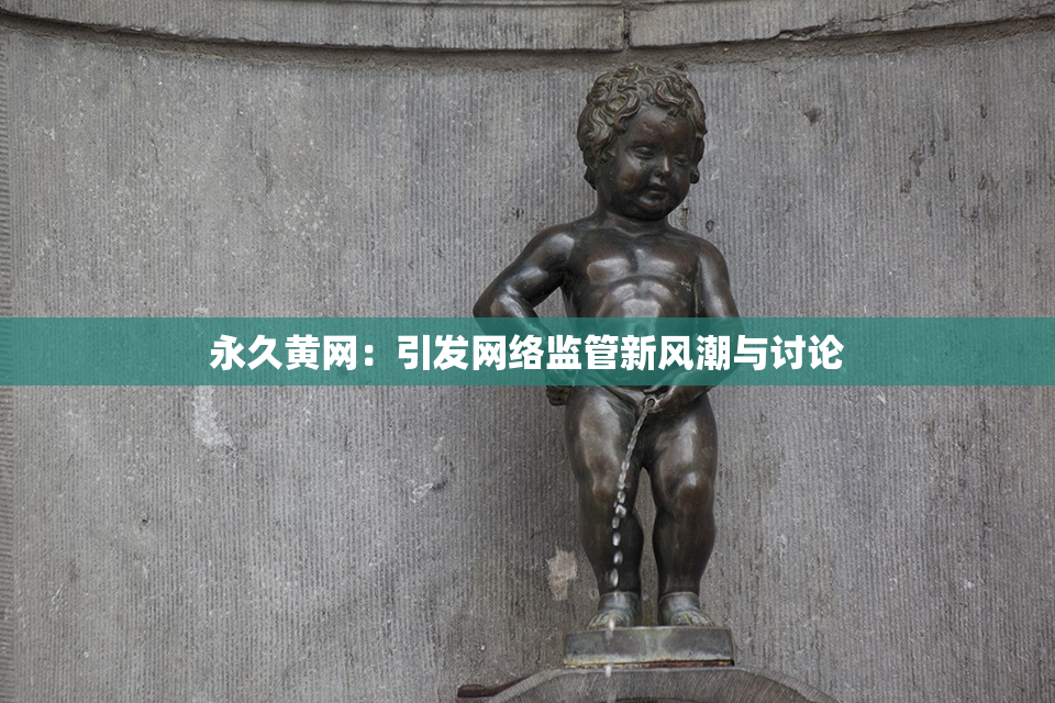 永久黄网：引发网络监管新风潮与讨论