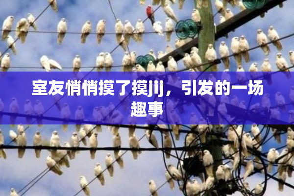 室友悄悄摸了摸jij，引发的一场趣事