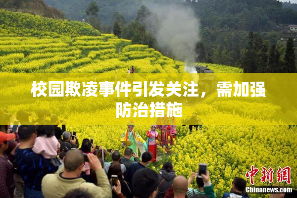 校园欺凌事件引发关注，需加强防治措施