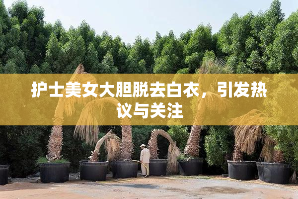 护士美女大胆脱去白衣，引发热议与关注