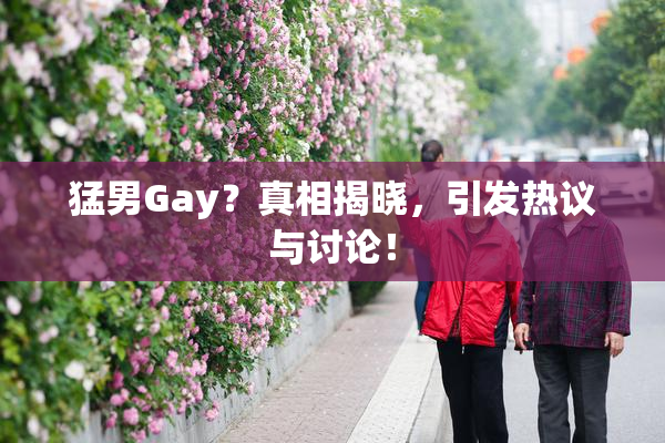 猛男Gay？真相揭晓，引发热议与讨论！