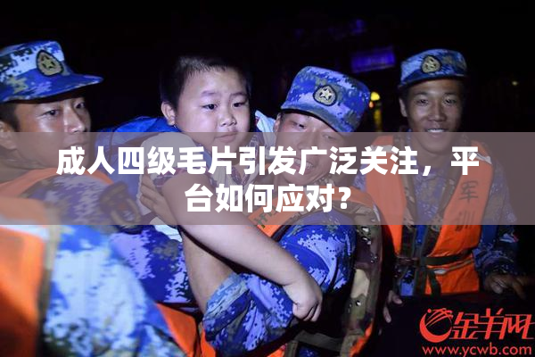 成人四级毛片引发广泛关注，平台如何应对？