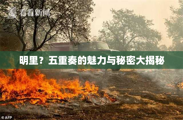 明里？五重奏的魅力与秘密大揭秘