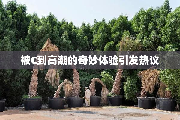 被C到高潮的奇妙体验引发热议