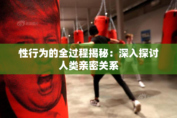 性行为的全过程揭秘：深入探讨人类亲密关系