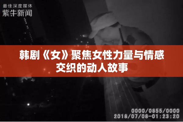 韩剧《女》聚焦女性力量与情感交织的动人故事