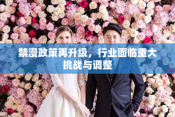 禁漫政策再升级，行业面临重大挑战与调整