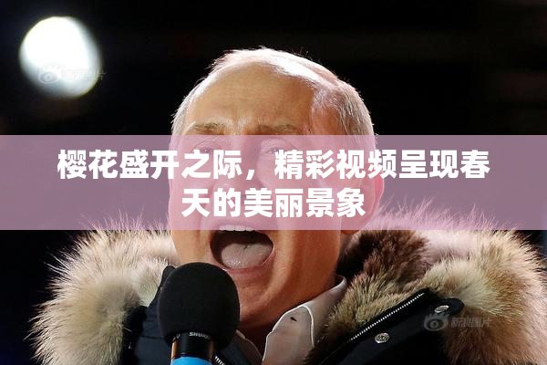 樱花盛开之际，精彩视频呈现春天的美丽景象