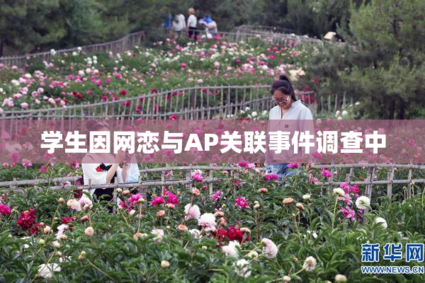 学生因网恋与AP关联事件调查中