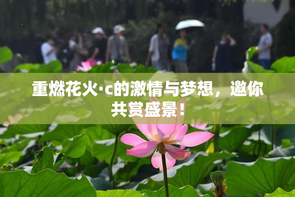 重燃花火·c的激情与梦想，邀你共赏盛景！