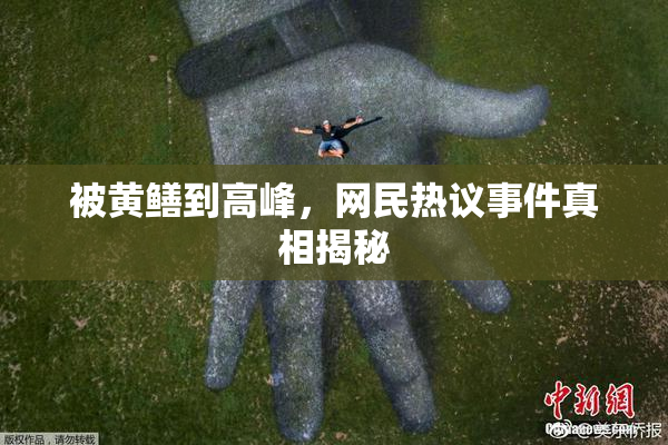 被黄鳝到高峰，网民热议事件真相揭秘