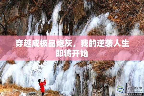 穿越成极品炮灰，我的逆袭人生即将开始