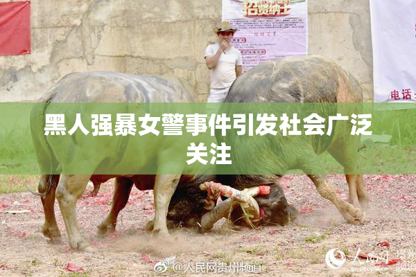 黑人强暴女警事件引发社会广泛关注