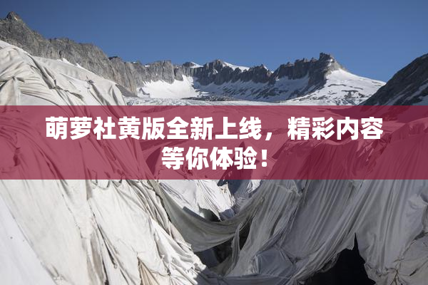 萌萝社黄版全新上线，精彩内容等你体验！