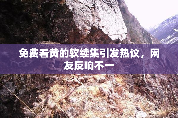 免费看黄的软续集引发热议，网友反响不一