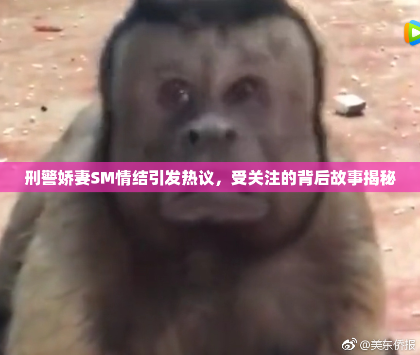 刑警娇妻SM情结引发热议，受关注的背后故事揭秘