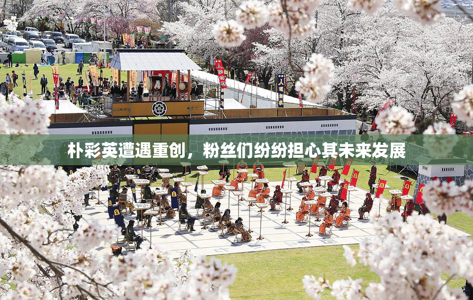 朴彩英遭遇重创，粉丝们纷纷担心其未来发展