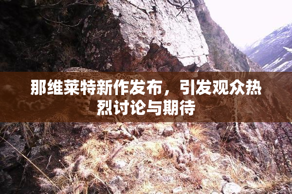 那维莱特新作发布，引发观众热烈讨论与期待