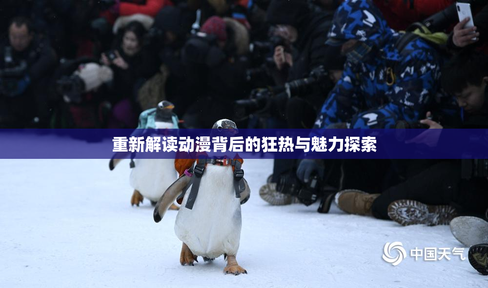 重新解读动漫背后的狂热与魅力探索