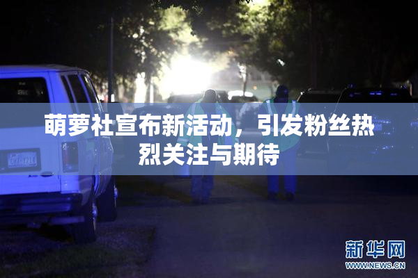 萌萝社宣布新活动，引发粉丝热烈关注与期待