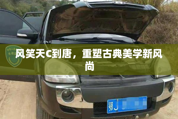 风笑天C到唐，重塑古典美学新风尚