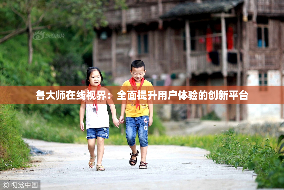 鲁大师在线视界：全面提升用户体验的创新平台