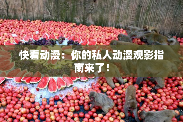 快看动漫：你的私人动漫观影指南来了！