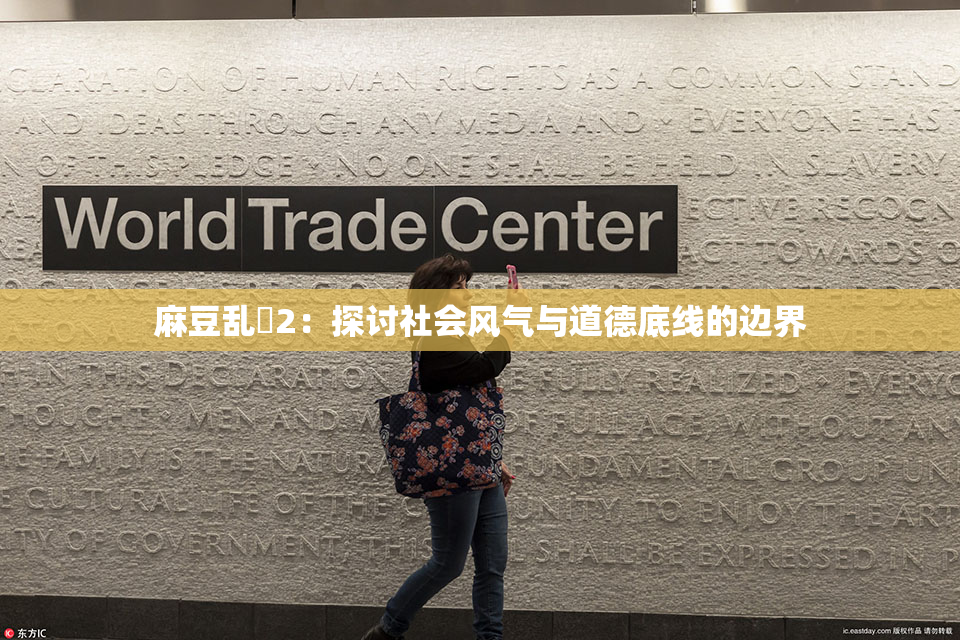 麻豆乱婬2：探讨社会风气与道德底线的边界