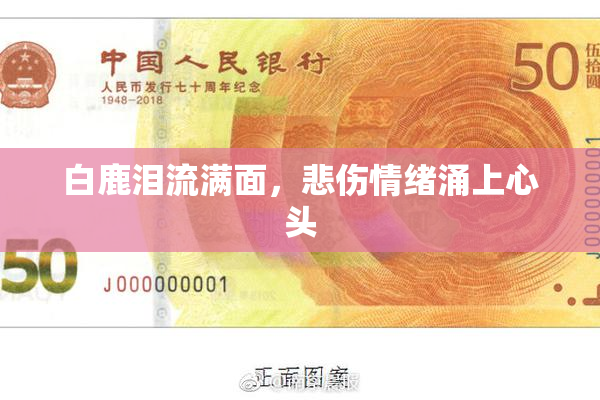 白鹿泪流满面，悲伤情绪涌上心头