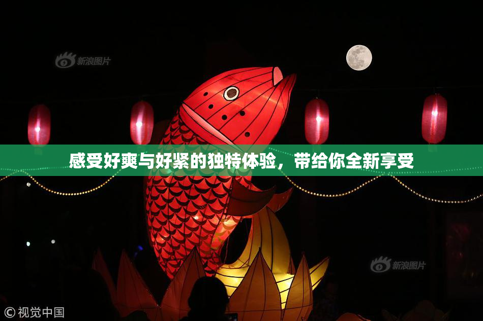 感受好爽与好紧的独特体验，带给你全新享受