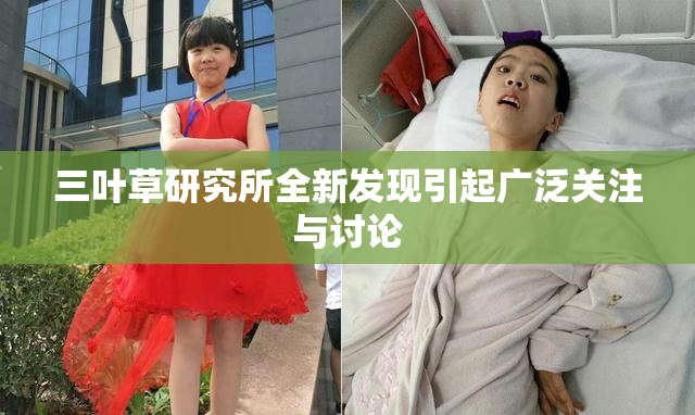 三叶草研究所全新发现引起广泛关注与讨论