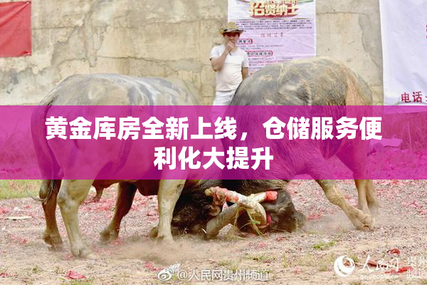黄金库房全新上线，仓储服务便利化大提升