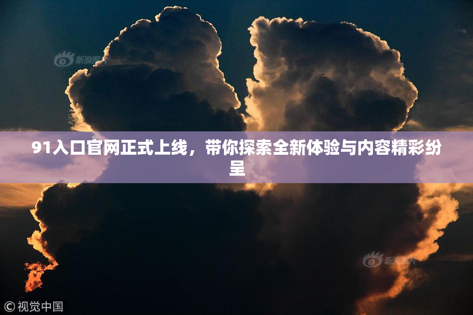 91入口官网正式上线，带你探索全新体验与内容精彩纷呈