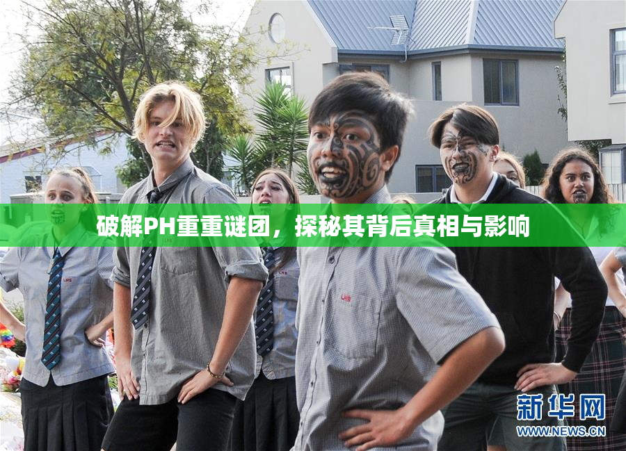 破解PH重重谜团，探秘其背后真相与影响