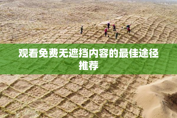 观看免费无遮挡内容的最佳途径推荐