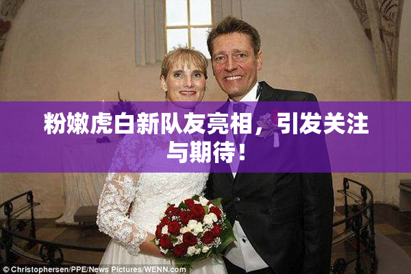 粉嫩虎白新队友亮相，引发关注与期待！