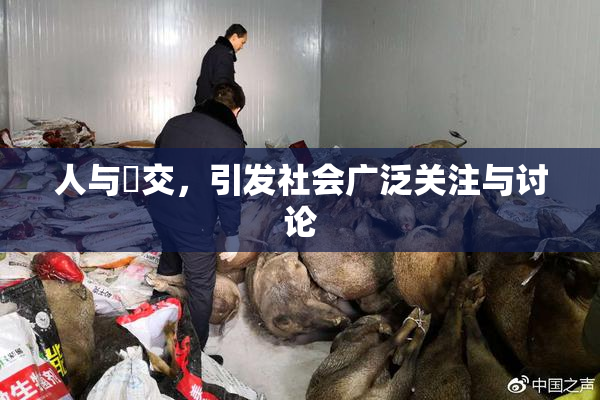 人与嘼交，引发社会广泛关注与讨论