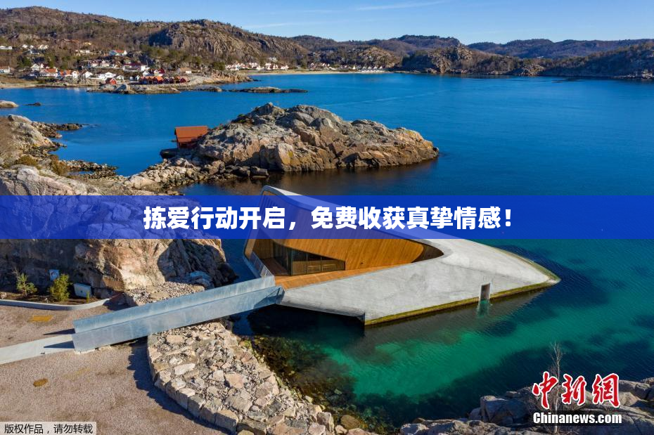 拣爱行动开启，免费收获真挚情感！