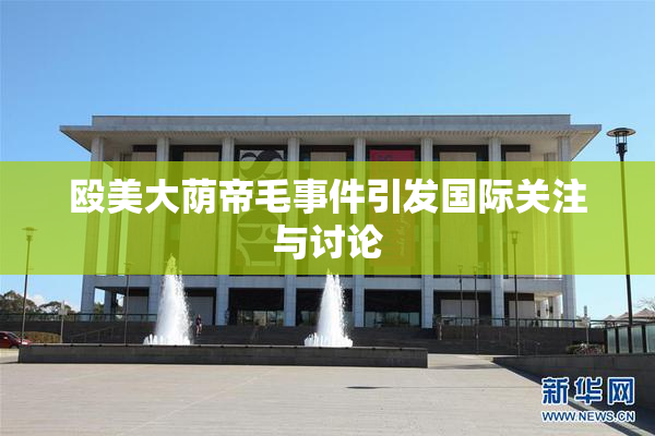 殴美大荫帝毛事件引发国际关注与讨论