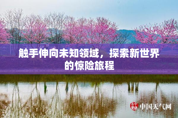 触手伸向未知领域，探索新世界的惊险旅程