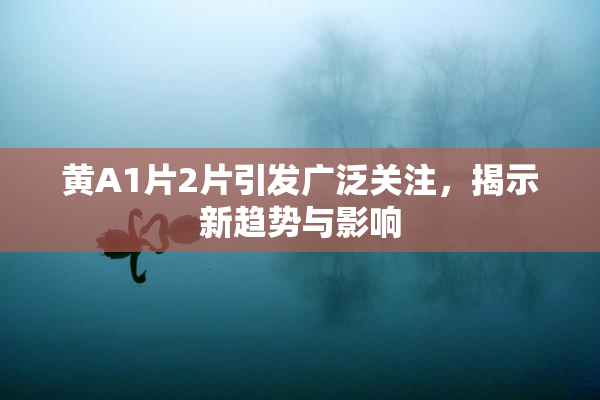 黄A1片2片引发广泛关注，揭示新趋势与影响