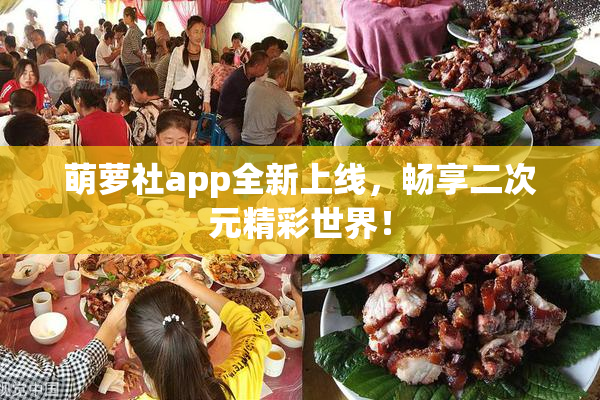 萌萝社app全新上线，畅享二次元精彩世界！