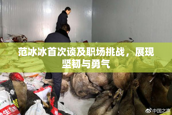 范冰冰首次谈及职场挑战，展现坚韧与勇气