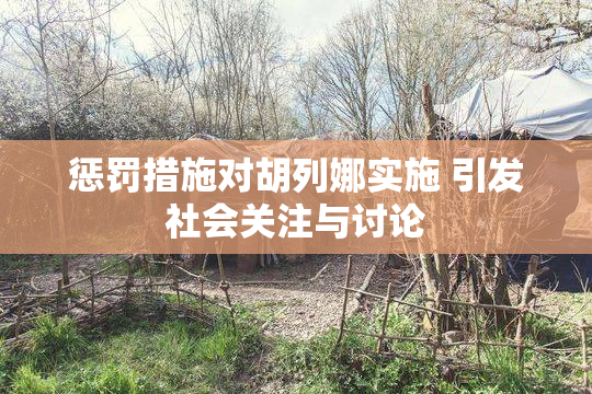 惩罚措施对胡列娜实施 引发社会关注与讨论