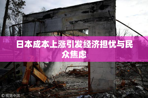 日本成本上涨引发经济担忧与民众焦虑