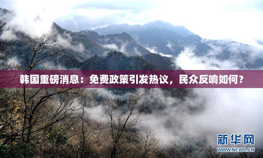 韩国重磅消息：免费政策引发热议，民众反响如何？